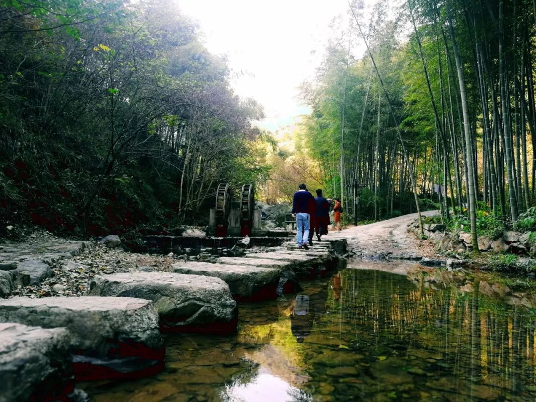 爱在深秋,醉美龙津溪地