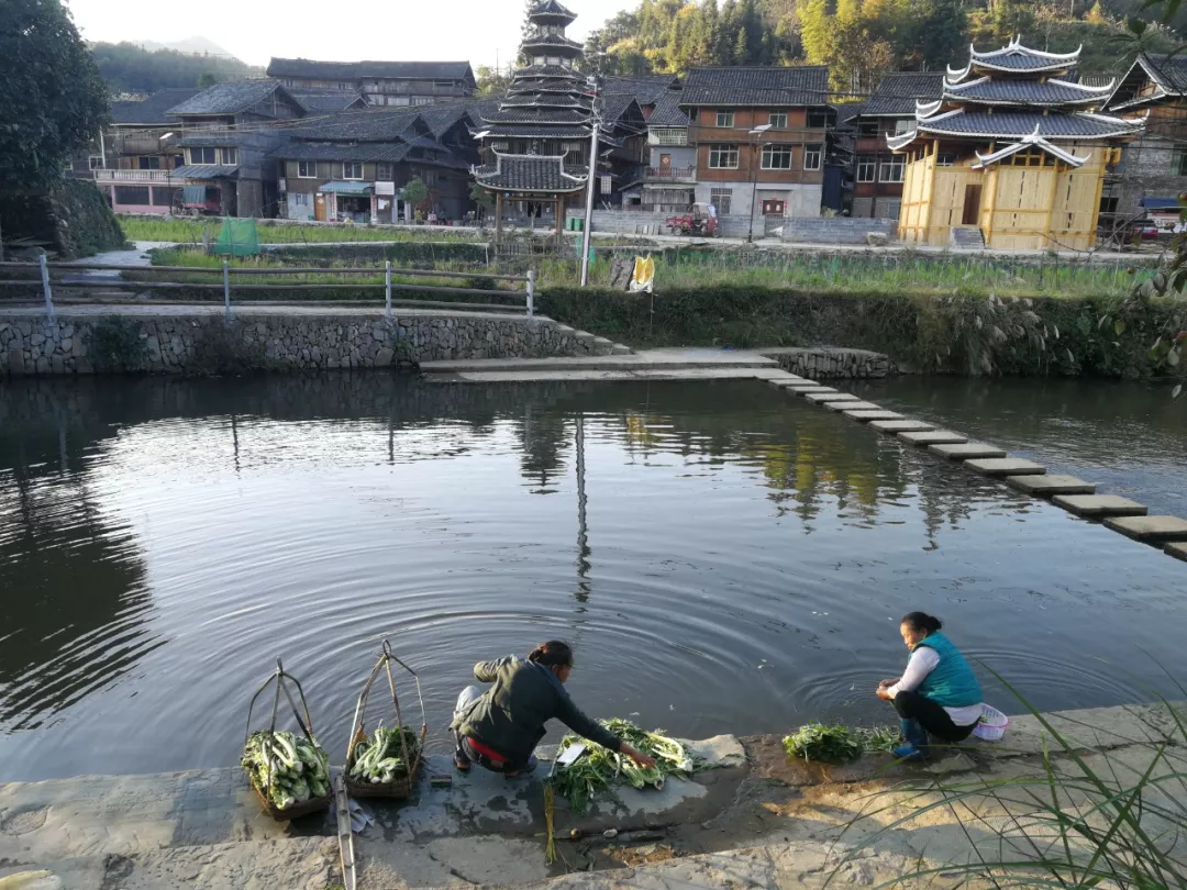 六盘水坪寨乡人口_贵州六盘水顺场乡图片(3)