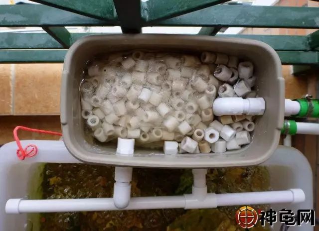 龟池缺个过滤系统?推荐2款简单的自制滤水装置