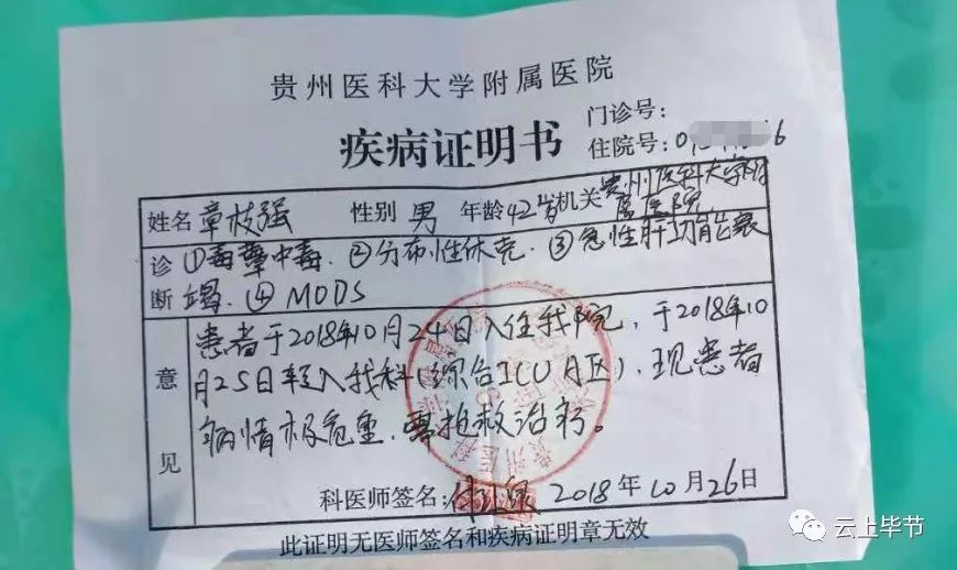 纳雍县有多少人口_1220800元 纳雍一中1526人享受国家免学费政策(2)