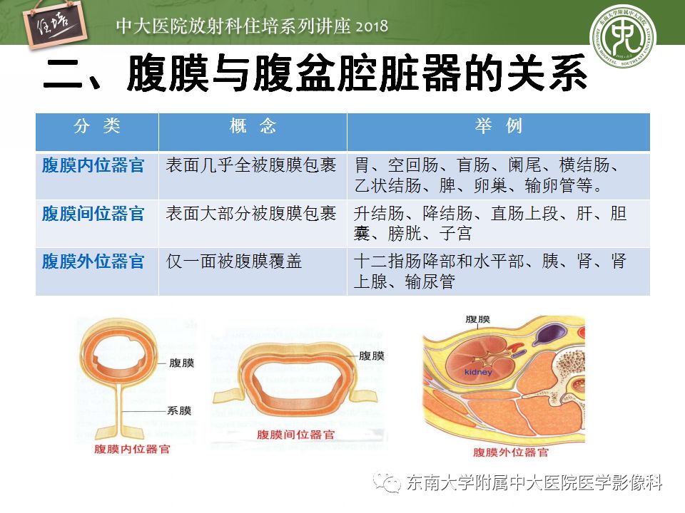 腹膜腹膜腔的影像解剖