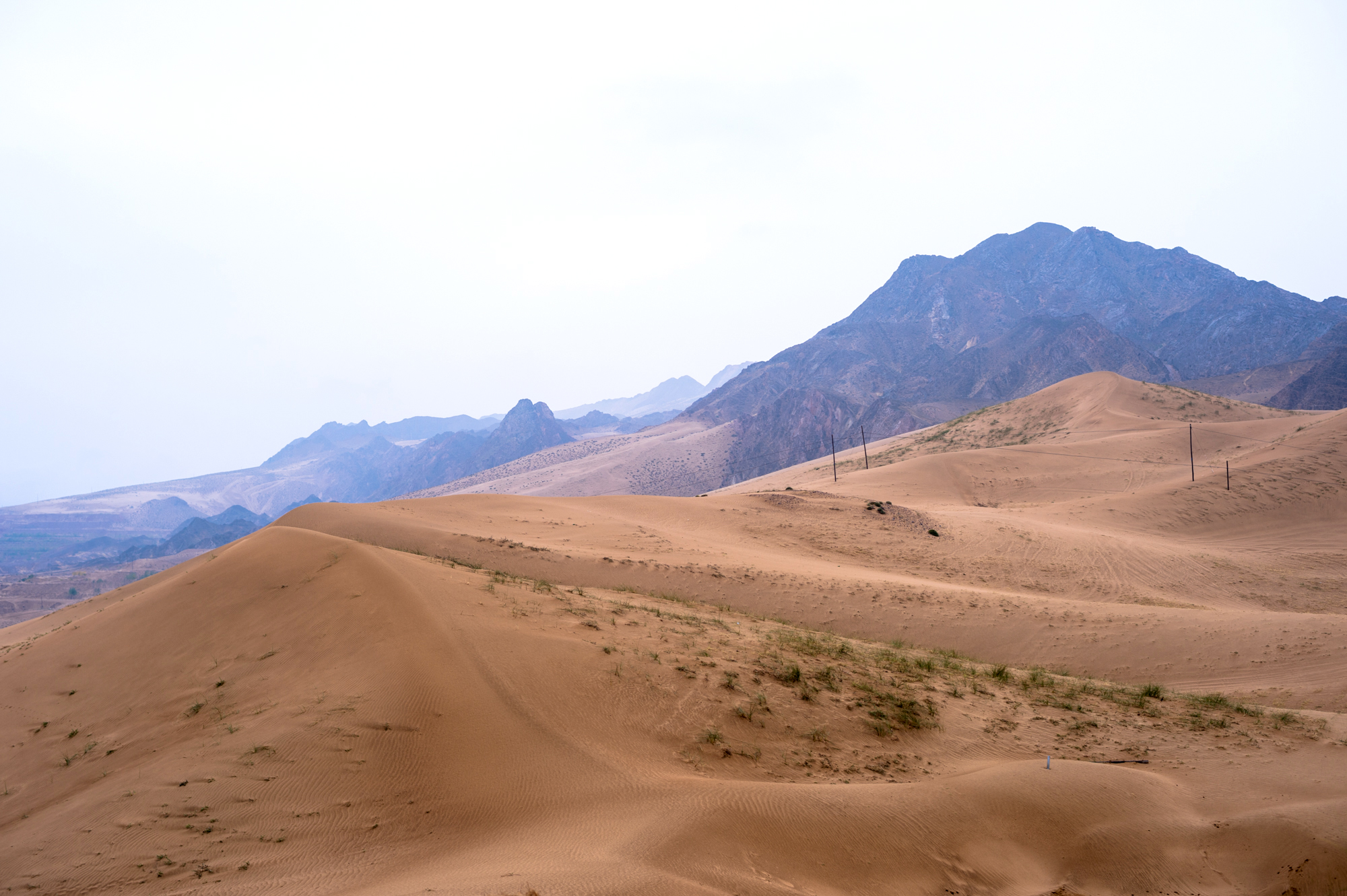 騰格裡沙漠邊緣的奇觀，一半沙漠一半黃河水，被譽為「塞上江南」 旅行 第11張