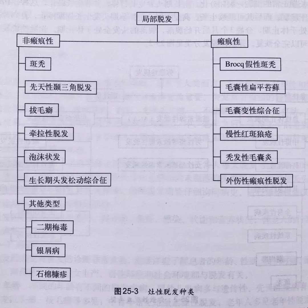 脱发专辑：安以轩帮陈乔恩P掉发际线,明星们也会困扰的问题！