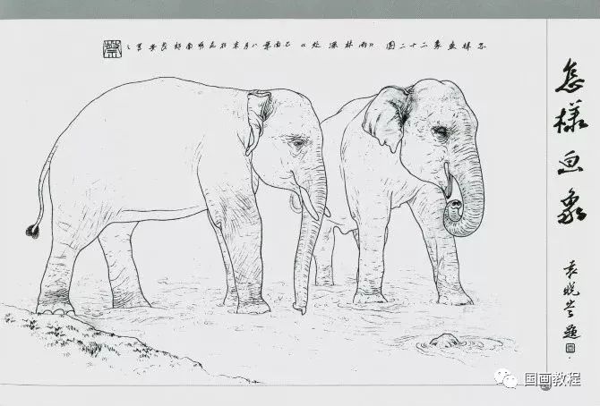 国画大象的画法终于了解它结构了
