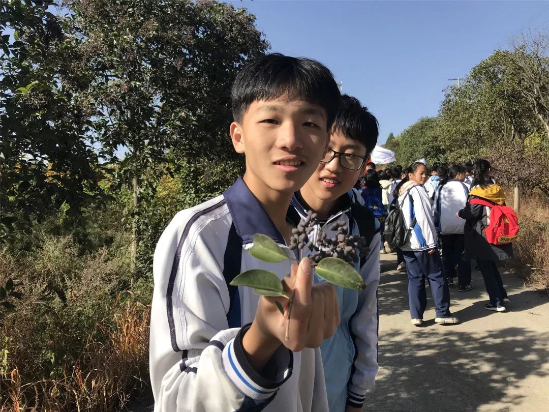 恰同学少年,风华正茂 | 泰安岱岳实验中学九年级三期研学圆满结束