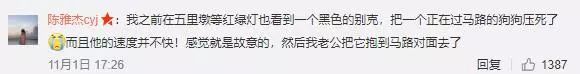 憤怒！他冒險加速闖紅燈，只為撞死過馬路的流浪狗！ 萌寵 第3張