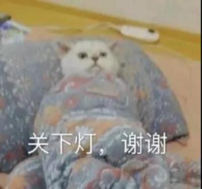 猫咪表情包关下灯谢谢