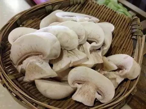 可怕央视曝光这种有毒的白蘑菇千万别买