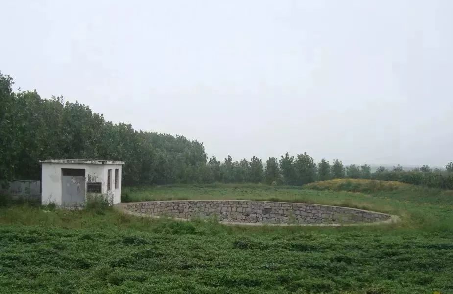 连云港市最美村支书风采⑩赣榆区西棘荡村钟佰均强村路上不歇脚的当家