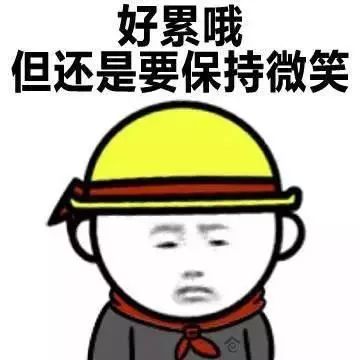 云南文山市政府发布了遛狗规定：早上7:00至晚上22:00禁止溜犬