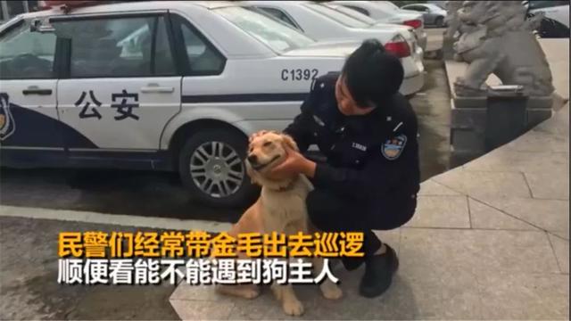 警察抓住小偷猜一成语_小偷被警察抓住的图片(2)