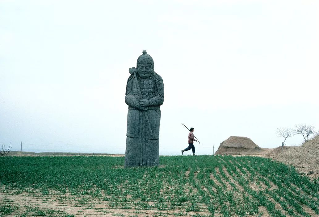 81年河南人口_河南各县人口排行榜(3)