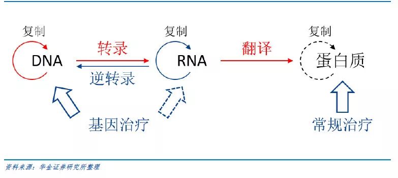 中心法则示意图