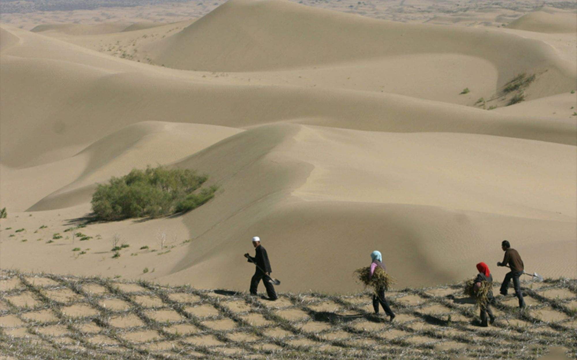 中國第一個將消失的沙漠：面積比海南島還大，如今80%沙漠成綠洲 旅行 第4張