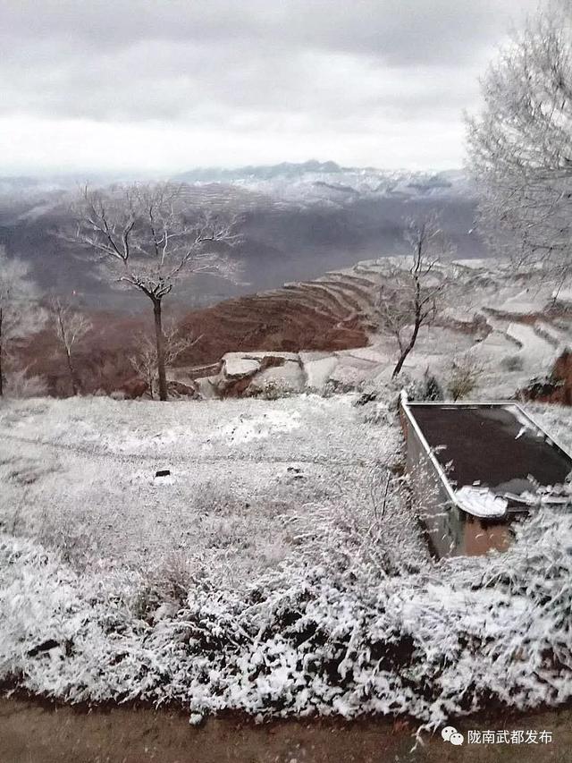 被白雪覆盖的柏林镇乡村 (拍摄网友 青鸾)