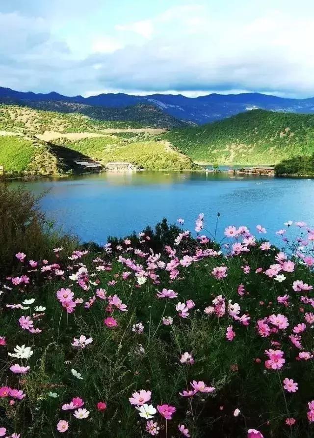 瀘沽湖：一個可以讓人做夢的美景天堂 旅行 第20張