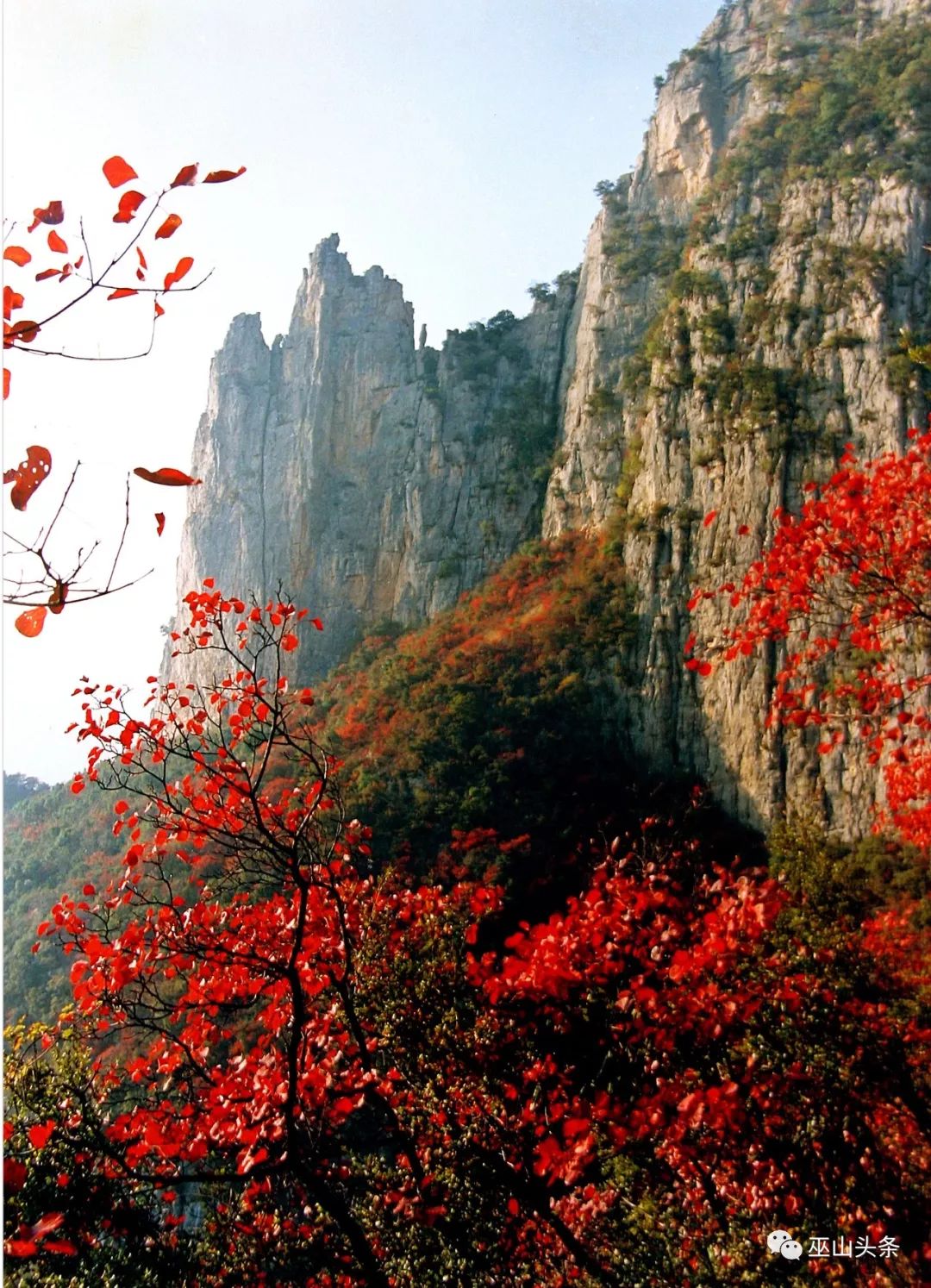 巫山红叶迎最佳观赏季 速来领略巫峡“六绝”_央广网