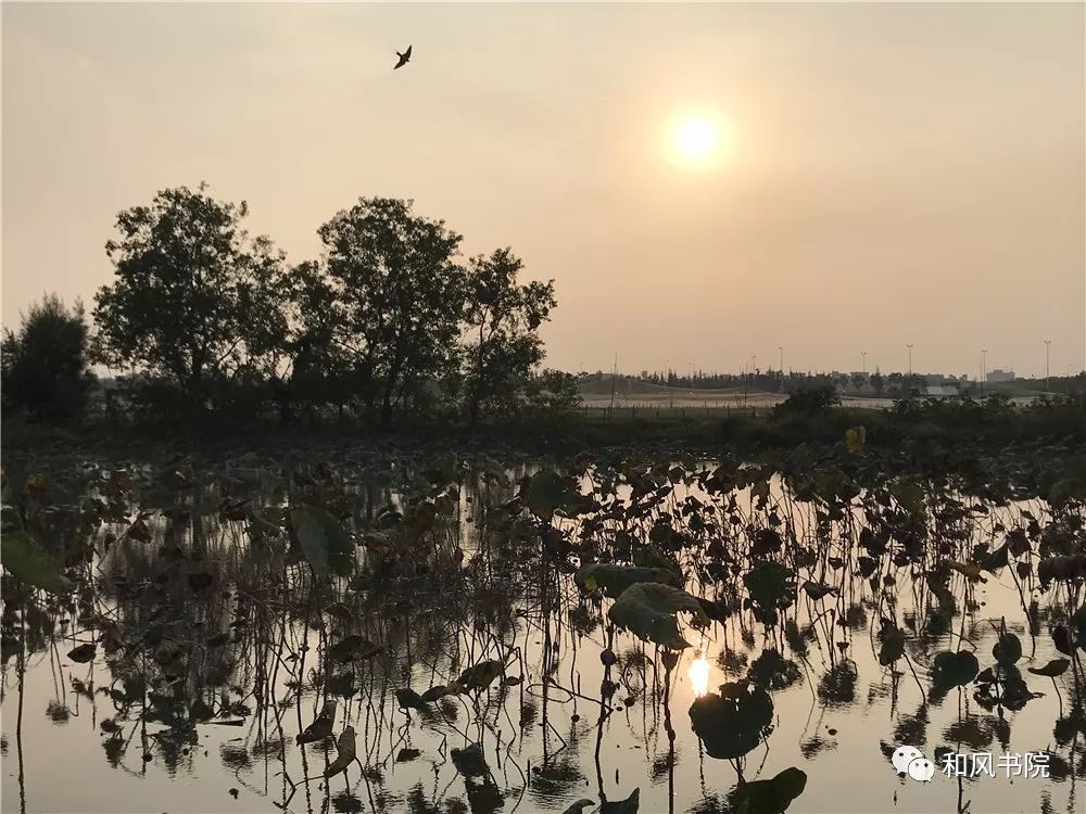 行者无疆石狮蚶江湿地公园