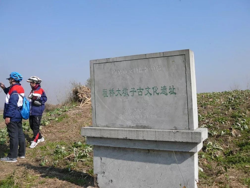 南京博物馆在羊角山文化遗址和大墩子商周遗址考古发掘出土了一批具有