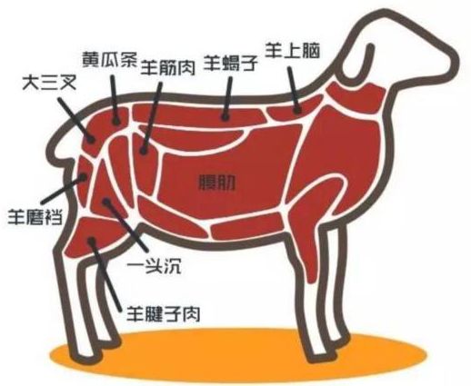 冠超市丨都安澳寒鲜羊强势来袭!_羊肉