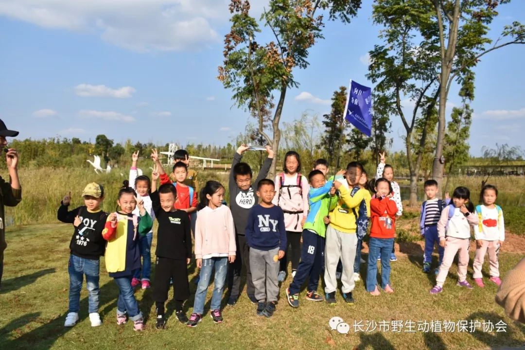 松雅湖湿地自然学校第8期分享