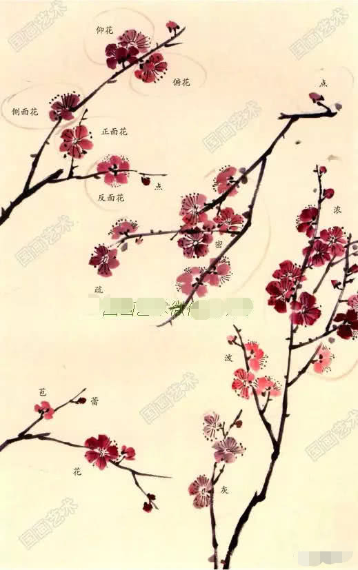 工笔梅花的画法参考名家梅花画法教程梅花范画画法步骤示例