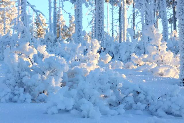 冰雪北极·冻感兴安丨大兴安岭冬季旅游六大路线任你选