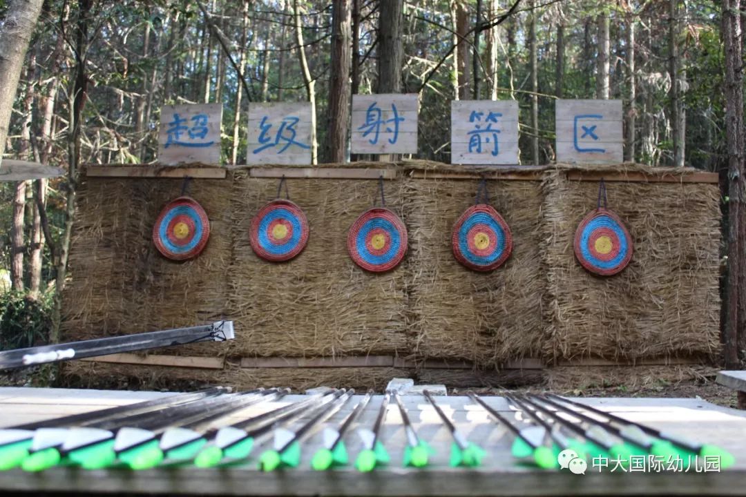 开启心智洞察自然中大国际幼儿园第二届森林课堂