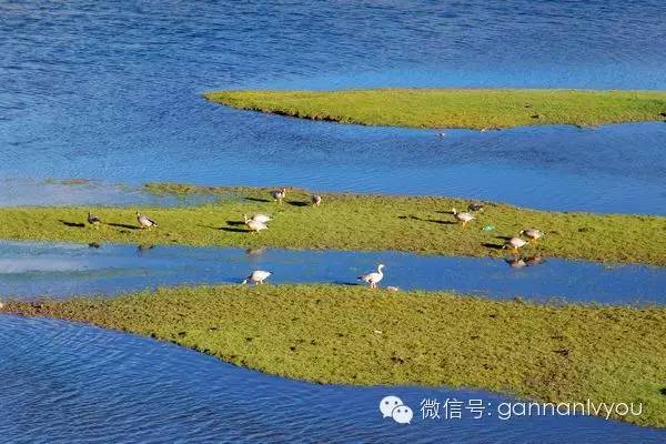 收藏級的甘南攝影手冊，30個最美觀景拍攝點海拔經緯度與最佳時間奉上 旅行 第28張