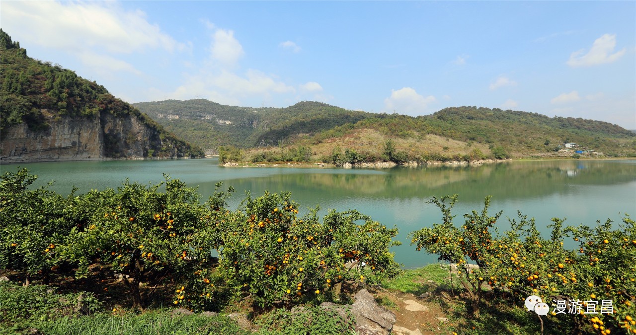 宜昌黄柏河惊现大片"粉色"湿地!