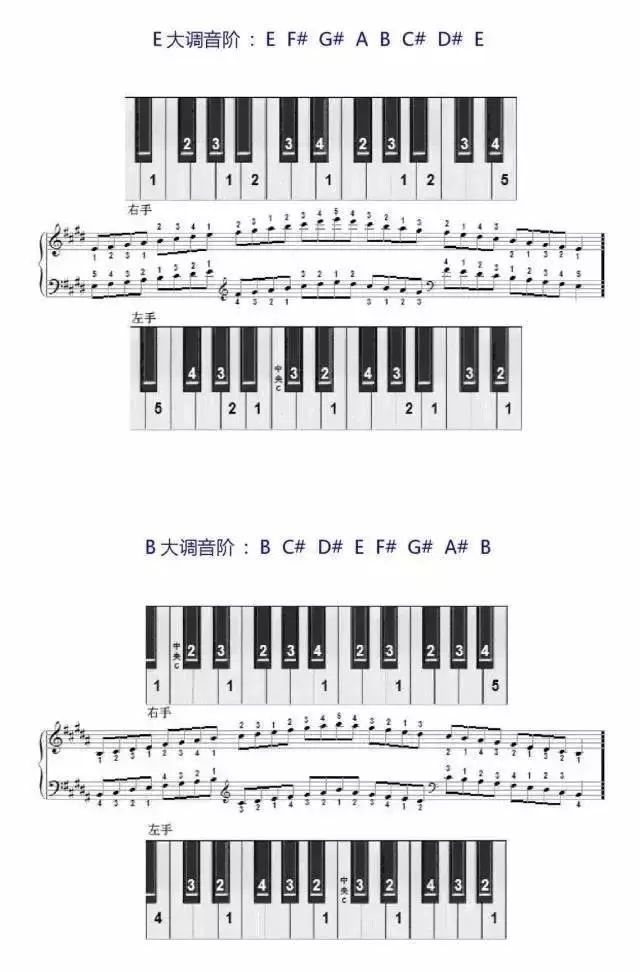 钢琴音阶弹不好?一套音阶指法图分分钟帮你搞定