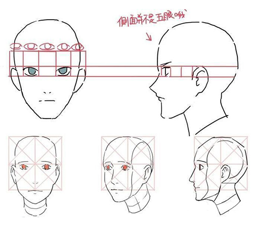 总结了一些画漫画人脸的技巧分享给大家