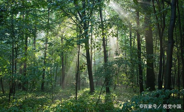 小姐姐朋友圈的這幾張美照，忍不住想現在出發貴州 旅行 第8張