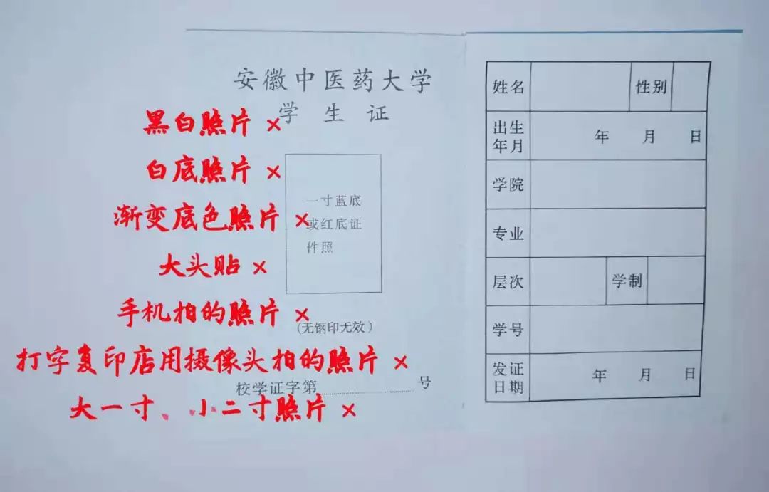 【奔走相告】学生证的填写要求,你都清楚吗