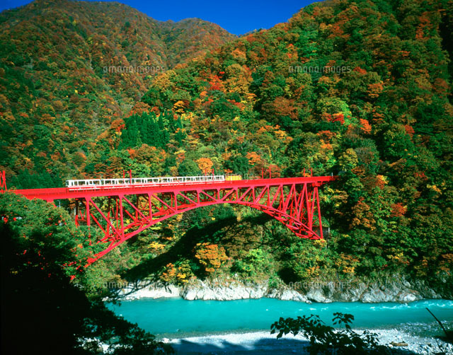 日本富山县黑部峡谷红叶正浓游客纷至沓来