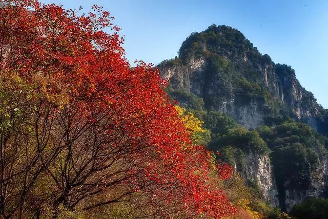 晋城有多少人口_有晋城关风景的图片(2)