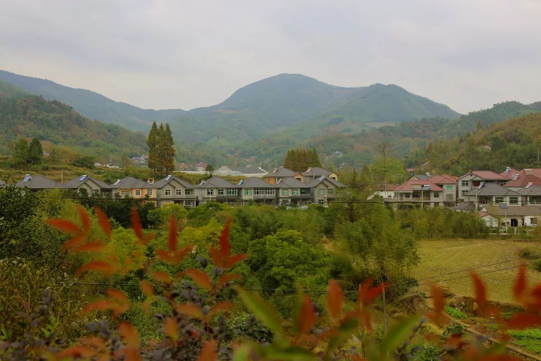 地处浙皖交界处的杭垓镇是安吉县典型的山区镇 素有"八山一水一分田"