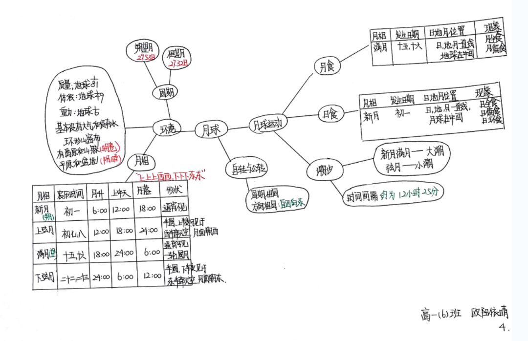 思维导图学生作品——框架式(第二弹)