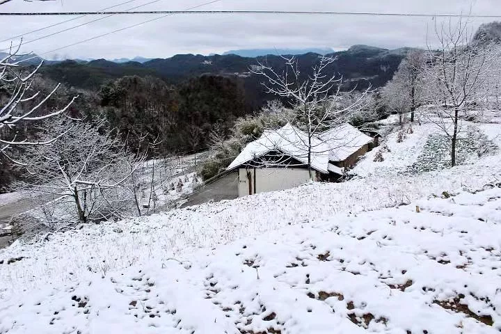 行摄广元丨2018年的第一场雪,比往年更妩媚!_曾家山