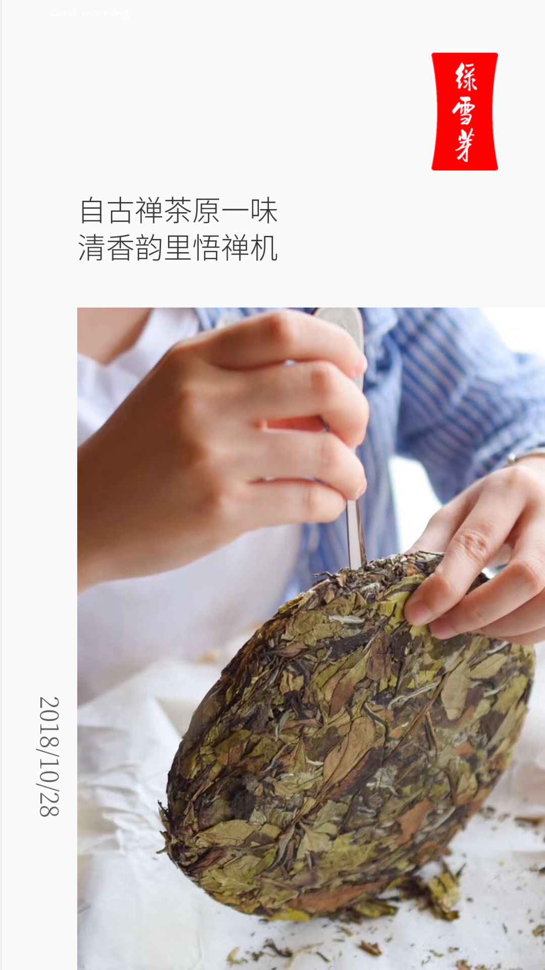 绿雪芽 金芽老寿眉 砖茶 一代老广人的记忆 2014年500克福鼎白茶-淘宝网