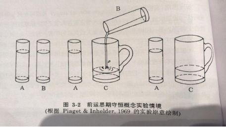 d310皮亚杰的认知发展论