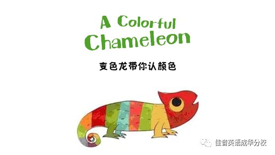 【佳音·分享】《A Colorful Chameleon》變色龍帶你認顏色 生活 第2張