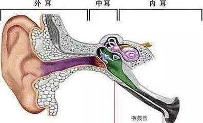 搭飞机耳朵痛怎么调节_耳朵里面痛怎么回事儿