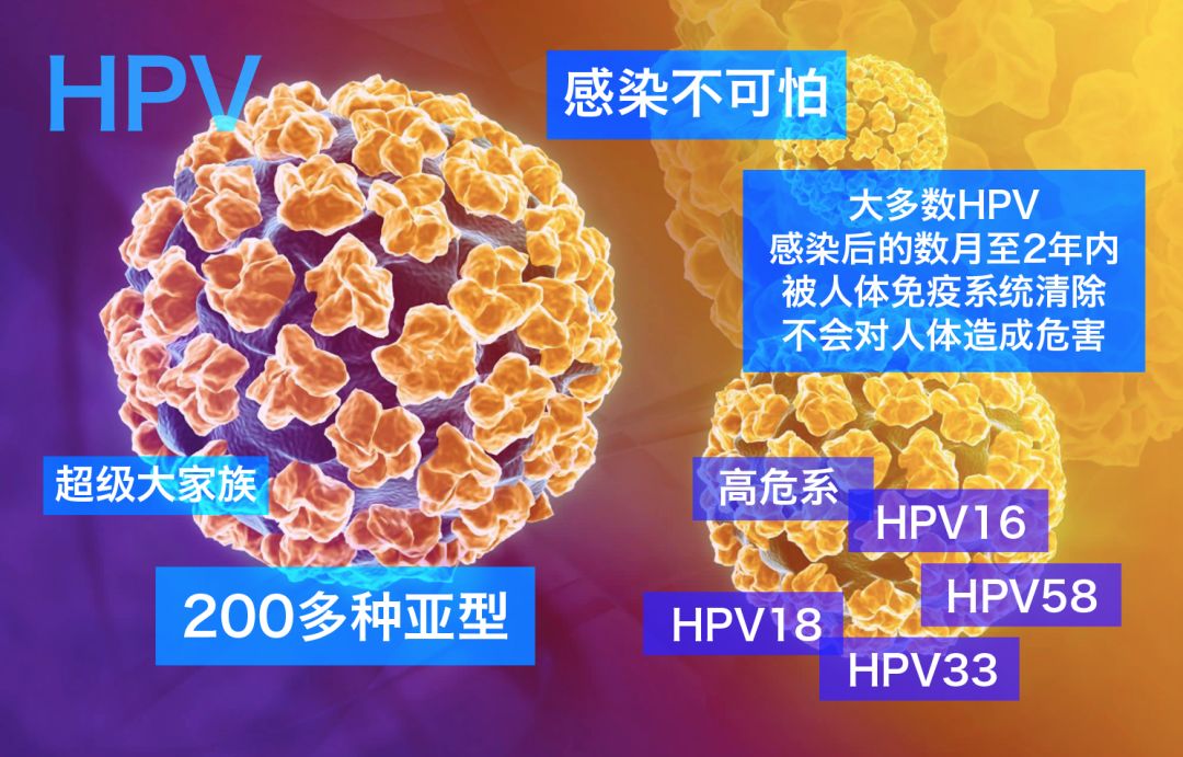 紧急预定「hpv九价疫苗,男女通用 手慢无!