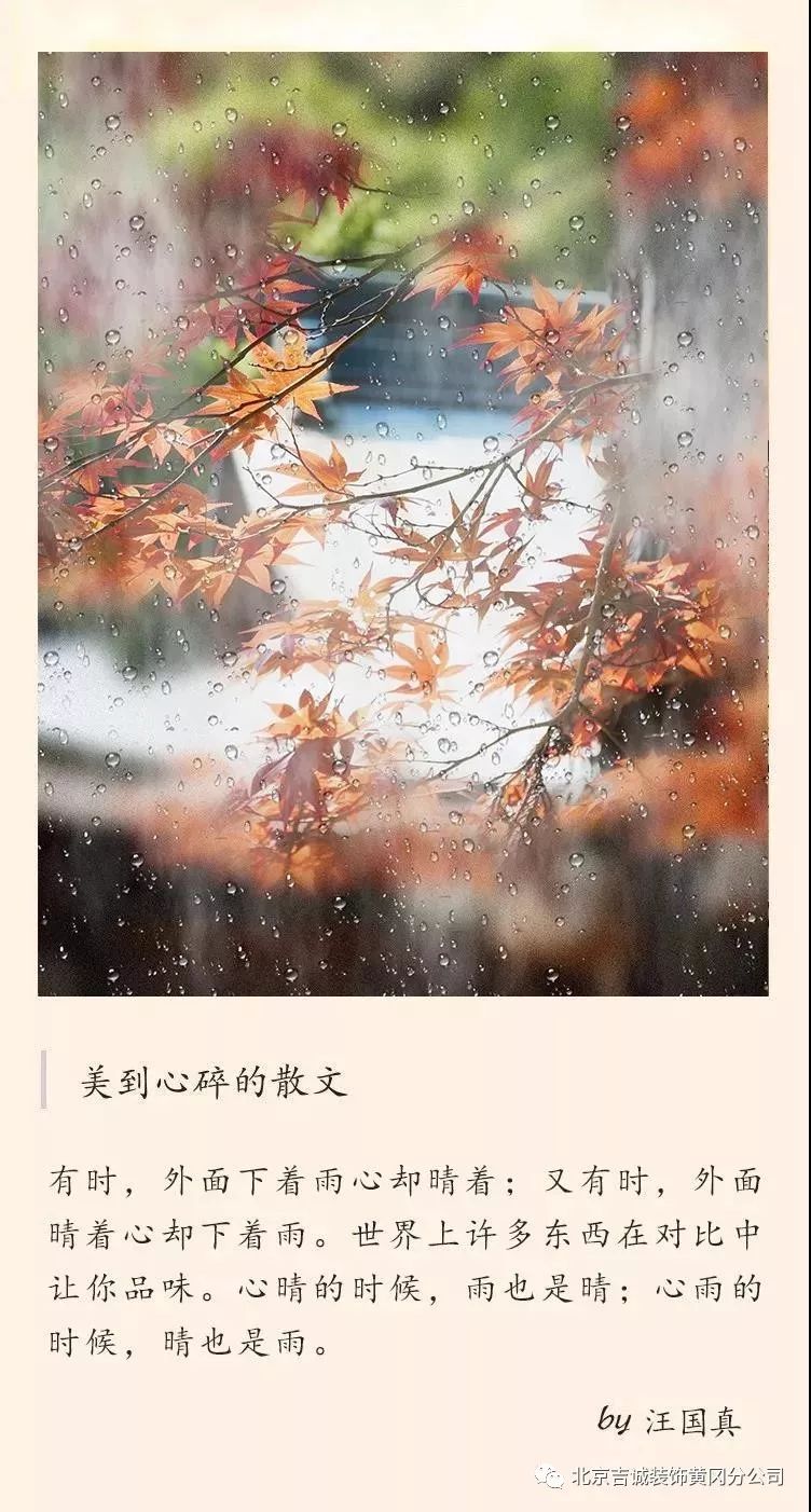 晚秋送给你的最后一场雨_时光