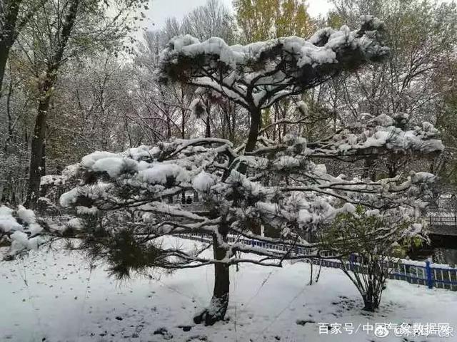 惊呆！穿衣预警来了！全国大部分人都在穿……