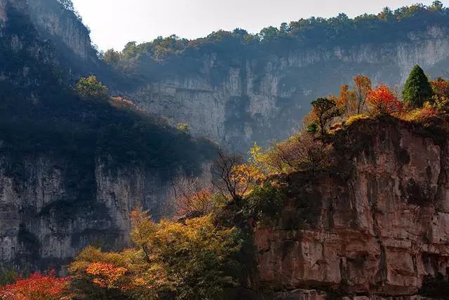 晋城有多少人口_有晋城关风景的图片(2)