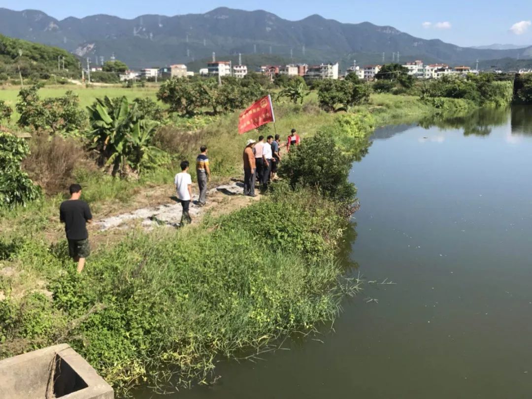 自今年福清市"污水零排河"百日攻坚行动启动以来,渔溪镇认真贯彻落实