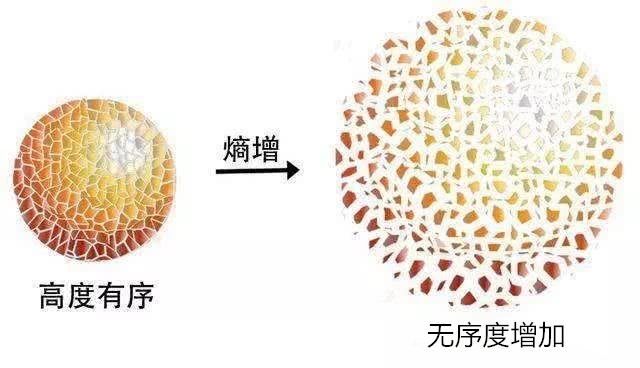 熵增定律为什么绝望