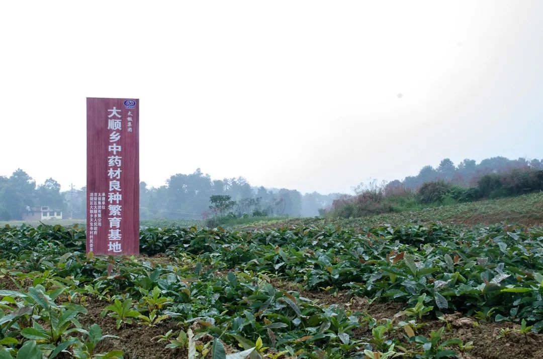 大田户籍人口_大田结花图片